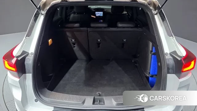 Chevrolet (GM Daewoo) Trailblazer id 3650617 из Кореи 11