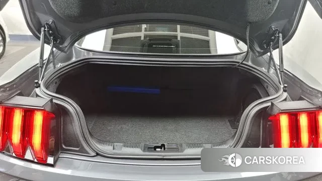 Ford Mustang id 3022838 из Кореи 11