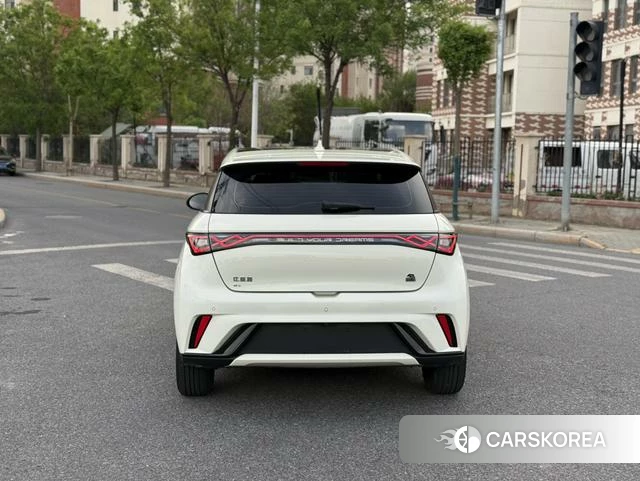 BYD dolphin id 4207077 из Китая 11