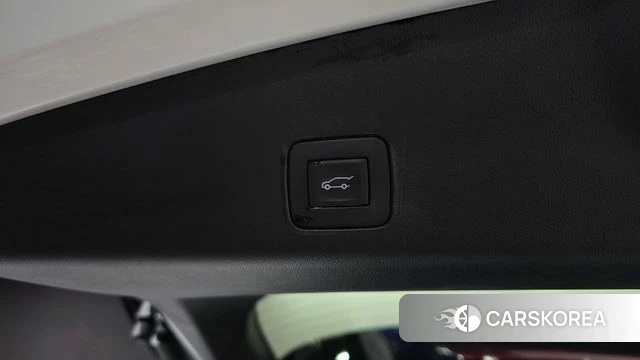 Chevrolet (GM Daewoo) Trailblazer id 4408831 из Кореи 11