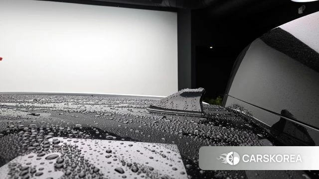 Renault Korea (Samsung) QM6 id 4378146 из Кореи 11
