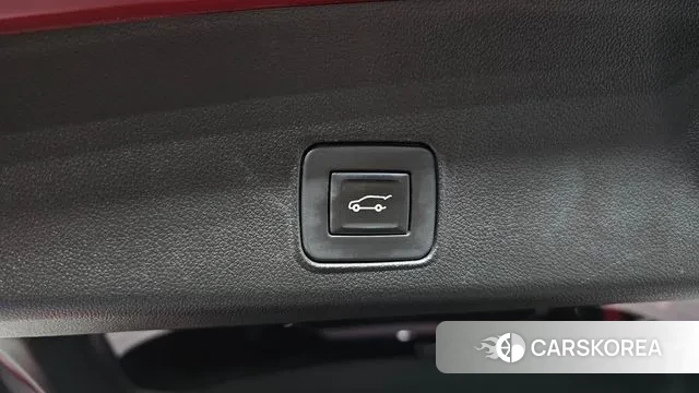 Chevrolet (GM Daewoo) Trailblazer id 3687043 из Кореи 11