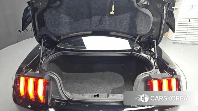 Ford Mustang id 3893839 из Кореи 11