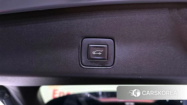 Chevrolet (GM Daewoo) Trailblazer id 3827847 из Кореи 11