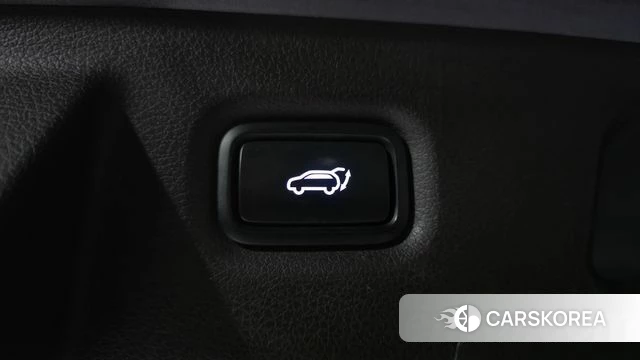 Hyundai Santa Fe TM id 4713429 из Кореи 11