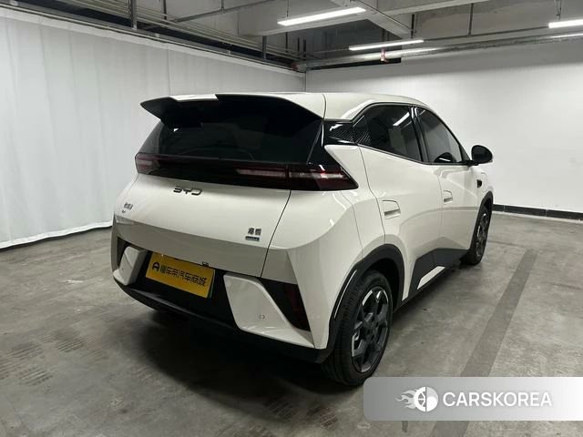 BYD Seagull id 4028236 из Китая 11