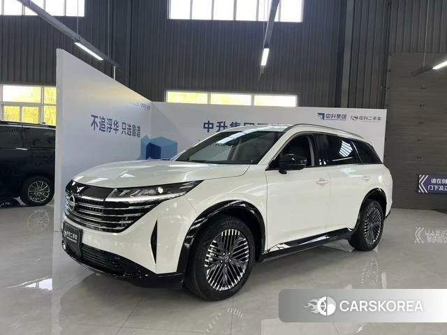 Nissan Exploring the land id 4259169 из Китая 11