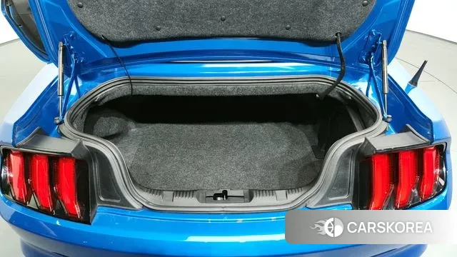 Ford Mustang id 3094640 из Кореи 11