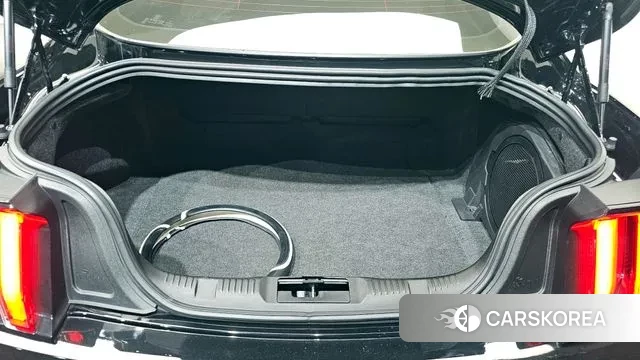 Ford Mustang id 3665544 из Кореи 11