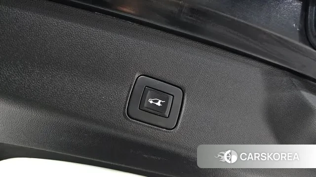 Chevrolet (GM Daewoo) Trailblazer id 3708194 из Кореи 11