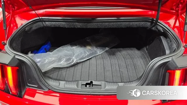 Ford Mustang id 3134038 из Кореи 11