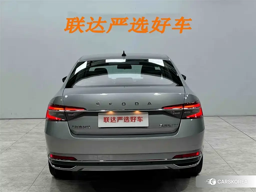 Skoda Speed pie id 4577562 из Китая 11