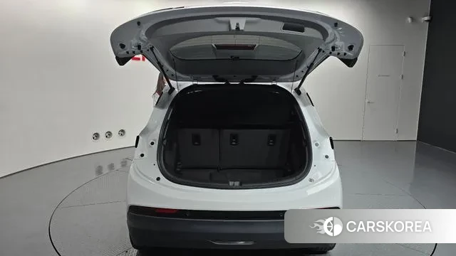 Chevrolet (GM Daewoo) New Bolt EV id 3726614 из Кореи 11