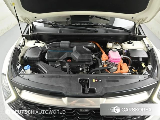 Kia Sportage 5th Generation Hybrid id 4524606 из Кореи 11