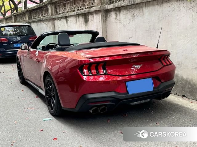 Ford Mustang id 4205801 из Китая 11