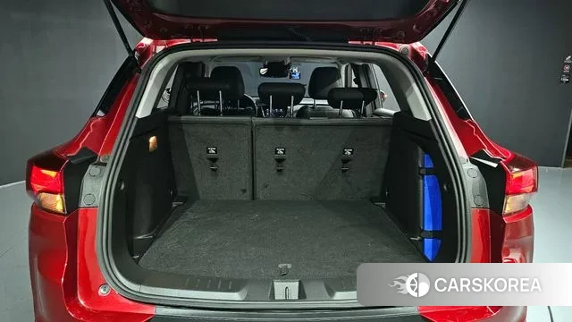 Chevrolet (GM Daewoo) Trailblazer id 3301972 из Кореи 11