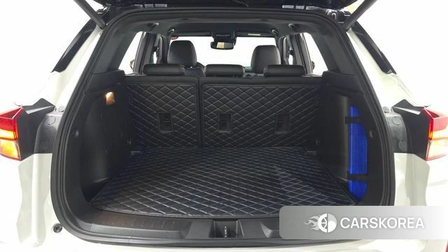 Chevrolet (GM Daewoo) Trailblazer id 3941998 из Кореи 11