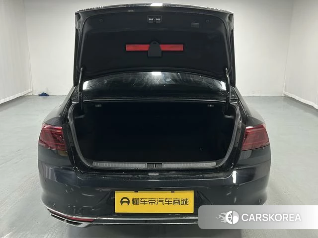 Volkswagen Magotan id 4240895 из Китая 11