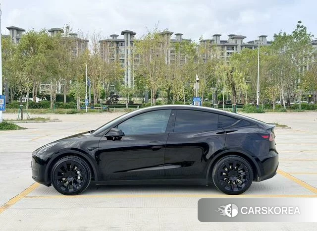 Tesla Model Y id 3896259 из Китая 11