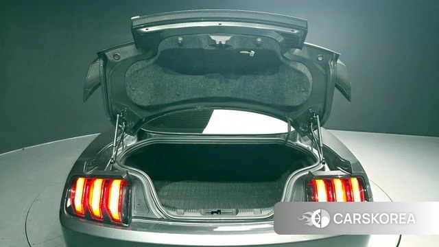 Ford Mustang id 3807971 из Кореи 11