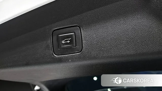 Chevrolet (GM Daewoo) Trailblazer id 3023451 из Кореи 11