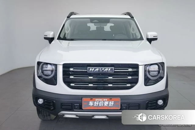 Haval Big dog id 3983152 из Китая 11