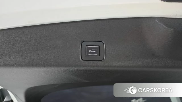 Chevrolet (GM Daewoo) Trailblazer id 3839047 из Кореи 11