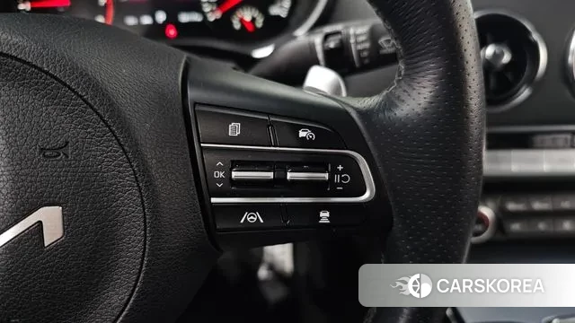 Kia Stinger Meister id 3770493 из Кореи 11