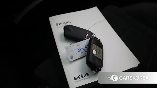 Kia Stinger Meister id 3002623 из Кореи 11