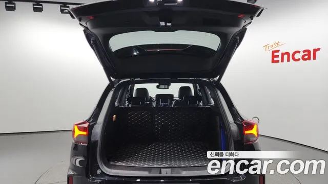 Chevrolet (GM Daewoo) Trailblazer id 2367372 из Кореи 11