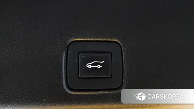 Chevrolet (GM Daewoo) Trailblazer id 3438683 из Кореи 11