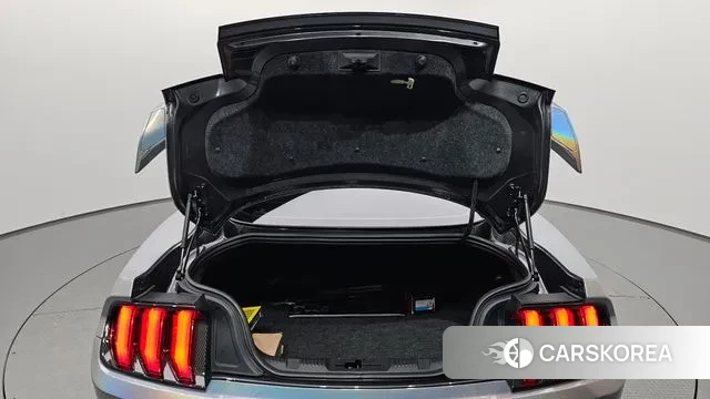 Ford Mustang id 3029475 из Кореи 11