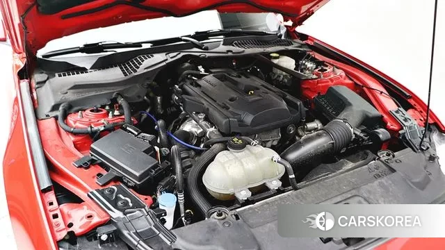 Ford Mustang id 3462958 из Кореи 11