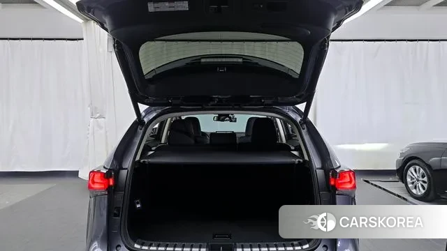 Lexus NX300h id 3004161 из Кореи 11