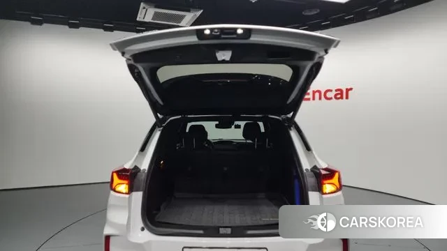 Chevrolet (GM Daewoo) Trailblazer id 3591849 из Кореи 11