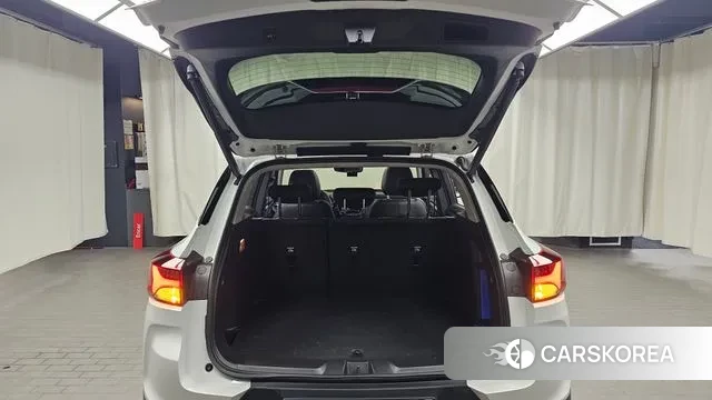 Chevrolet (GM Daewoo) Trailblazer id 3712713 из Кореи 11