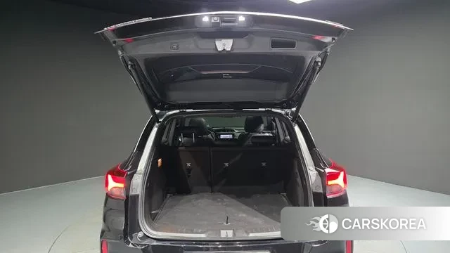 Chevrolet (GM Daewoo) Trailblazer id 3011550 из Кореи 11