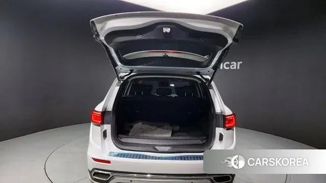 Renault Korea (Samsung) The New QM6 id 2890007 из Кореи 11