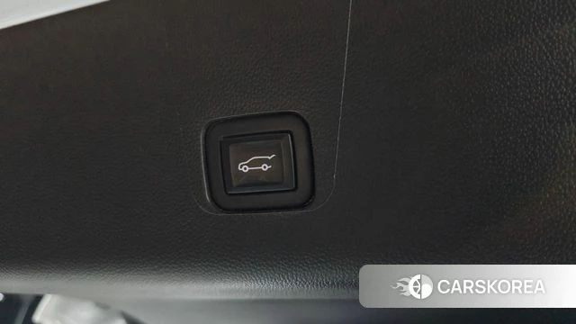 Chevrolet (GM Daewoo) Traverse id 4281969 из Кореи 11