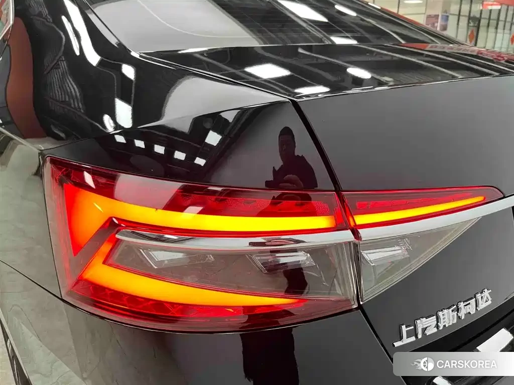 Skoda Speed pie id 4515526 из Китая 11