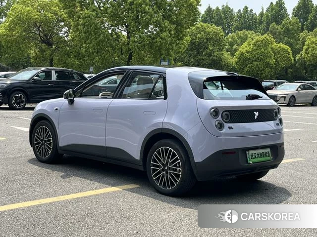 firefly firefly Unknown id 3993380 из Китая 11