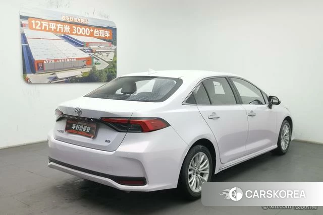 Toyota Asian lion id 4262445 из Китая 11