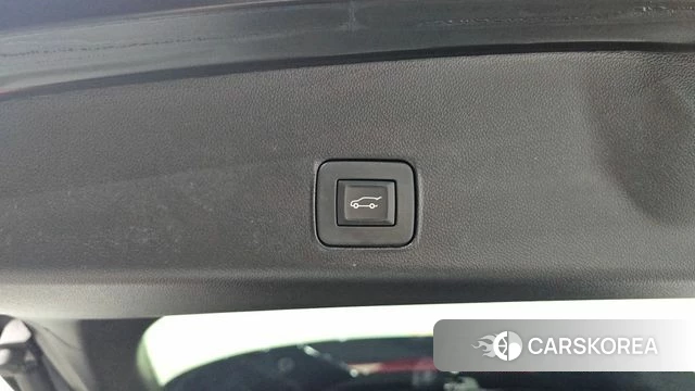 Chevrolet (GM Daewoo) Trailblazer id 4355935 из Кореи 11
