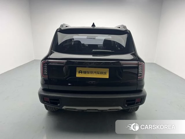 Haval Big dog id 4215217 из Китая 11