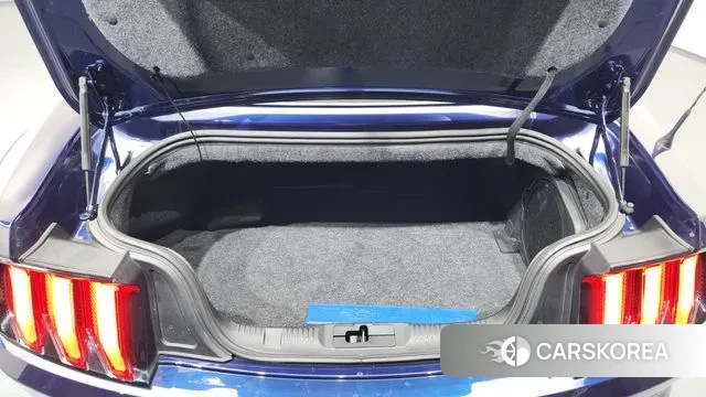 Ford Mustang id 3525753 из Кореи 11