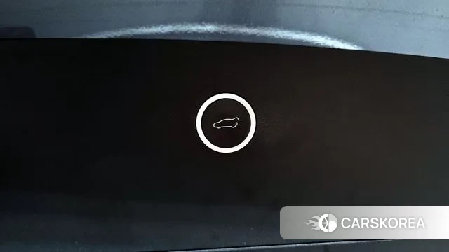 Tesla Model X id 3772922 из Кореи 11