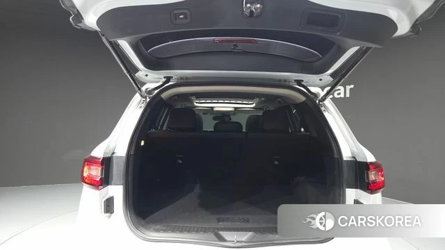 Renault Korea (Samsung) QM6 id 4856374 из Кореи 11