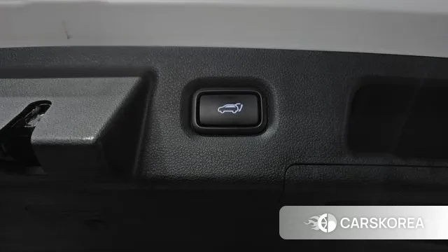 Hyundai Santa Fe TM id 3009083 из Кореи 11