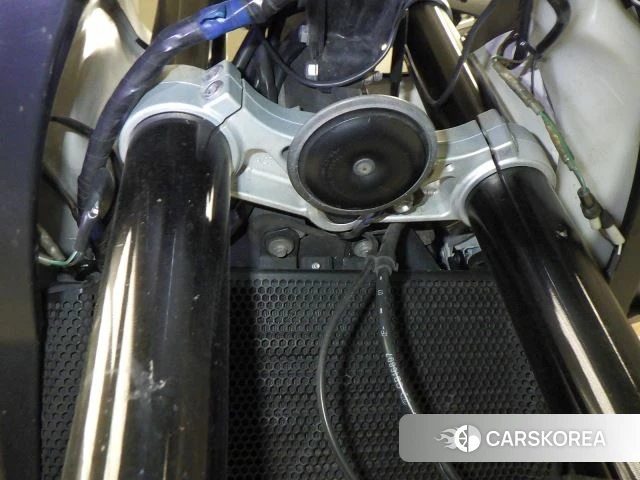 Triumph TIGER 1050 id 3946658 из Японии 11