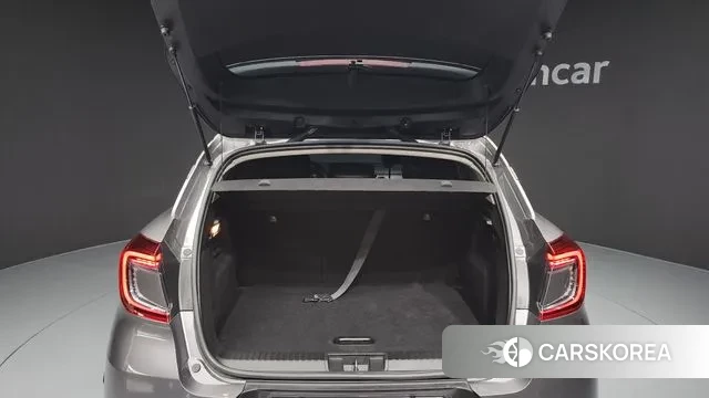 Renault Korea (Samsung) Capture id 3509191 из Кореи 11